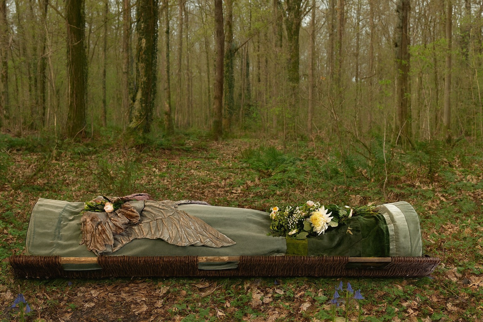 Sage_Wings_woodland